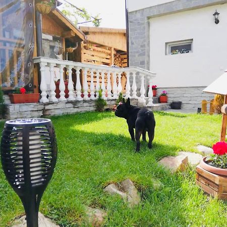 Guest House Grahlyov 사파레바바냐 외부 사진