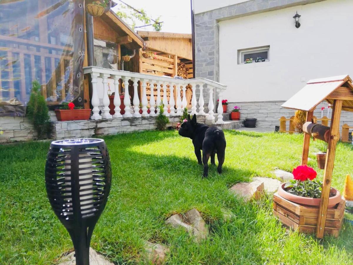 Guest House Grahlyov 사파레바바냐 외부 사진